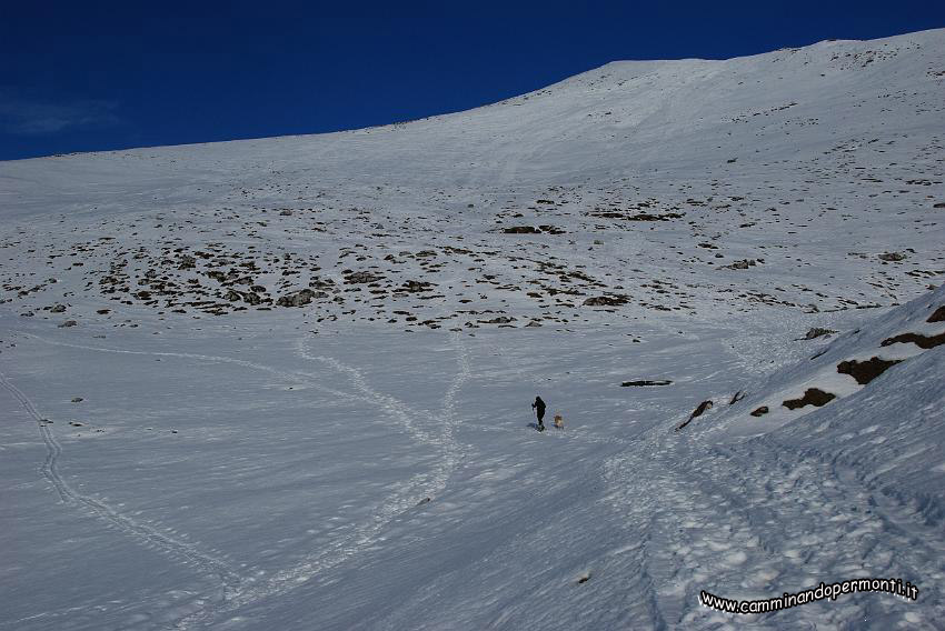 09 14259 Verso il sentiero 223 in cresta.JPG